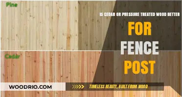 Cedar vs. Pressure-Treated Wood: Which is Best for Your Fence Post?