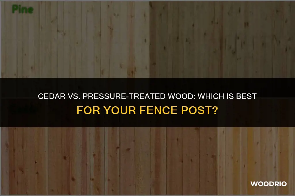 is cedar or pressure treated wood better for fence post