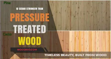 Comparing Cedar and Pressure-Treated Wood: Which is Stronger?