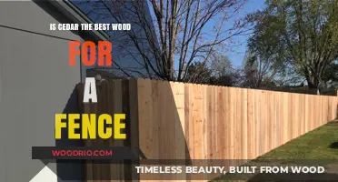 Evaluating Cedar: Is It the Premier Choice for Fencing?