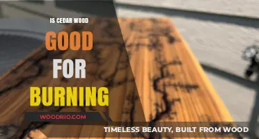 Exploring Cedar Wood: An Excellent Choice for Burning?