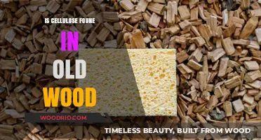 Is Cellulose Found in Old Wood? Uncovering the Truth