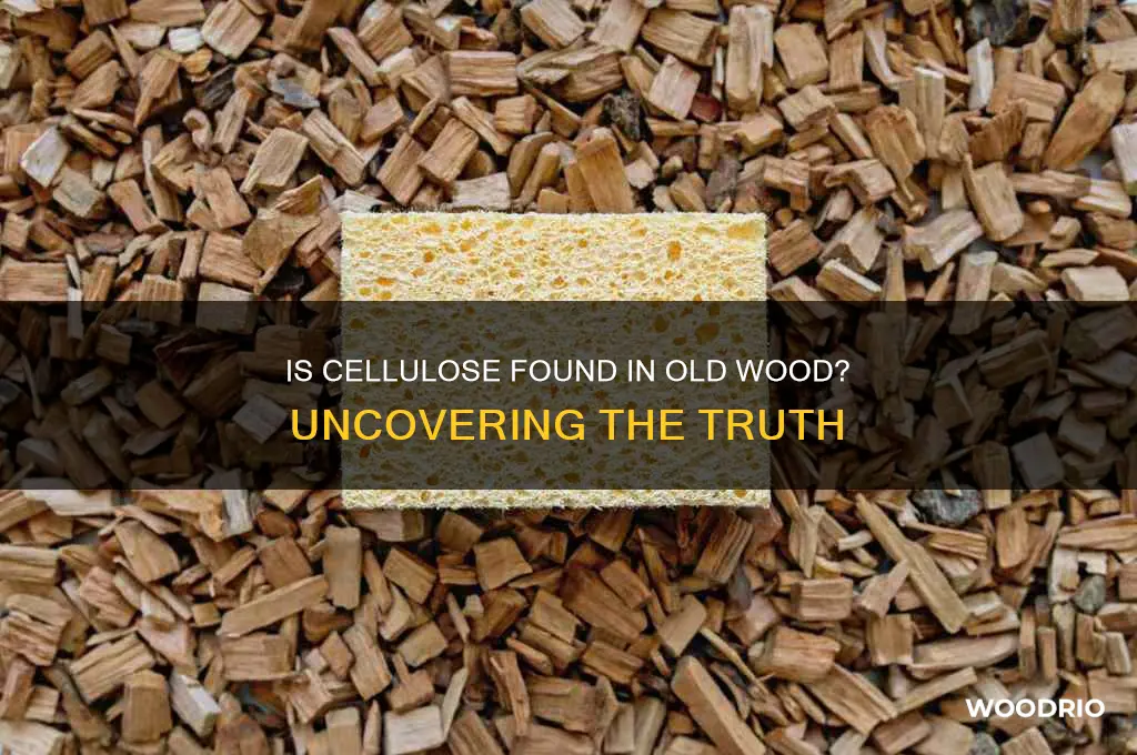 is cellulose foune in old wood
