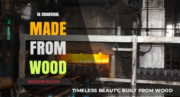 From Timber to Tinder: The Woody Origins of Charcoal