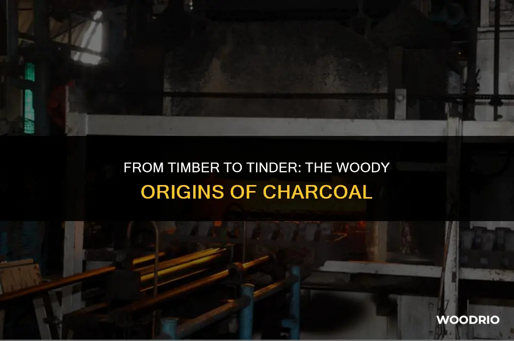 is charcoal made from wood