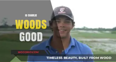 Exploring the Rise and Potential of Young Golfer Charlie Woods