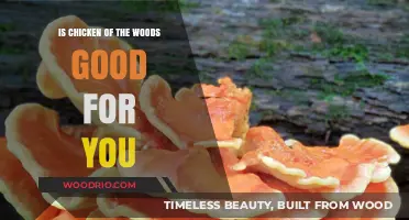 Exploring the Health Benefits of Chicken of the Woods Mushroom