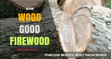 The Ideal Firewood Choice: Elm Wood's Burning Benefits Explored