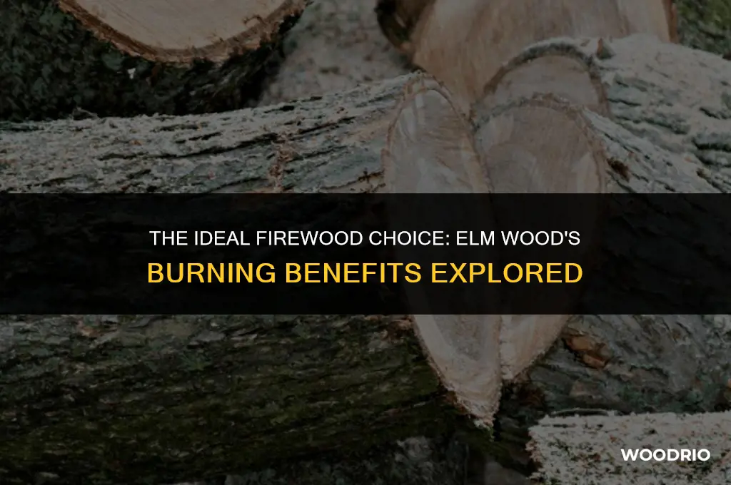 is elm wood good firewood