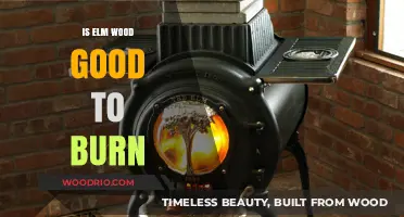 Exploring the Benefits and Drawbacks of Burning Elm Wood
