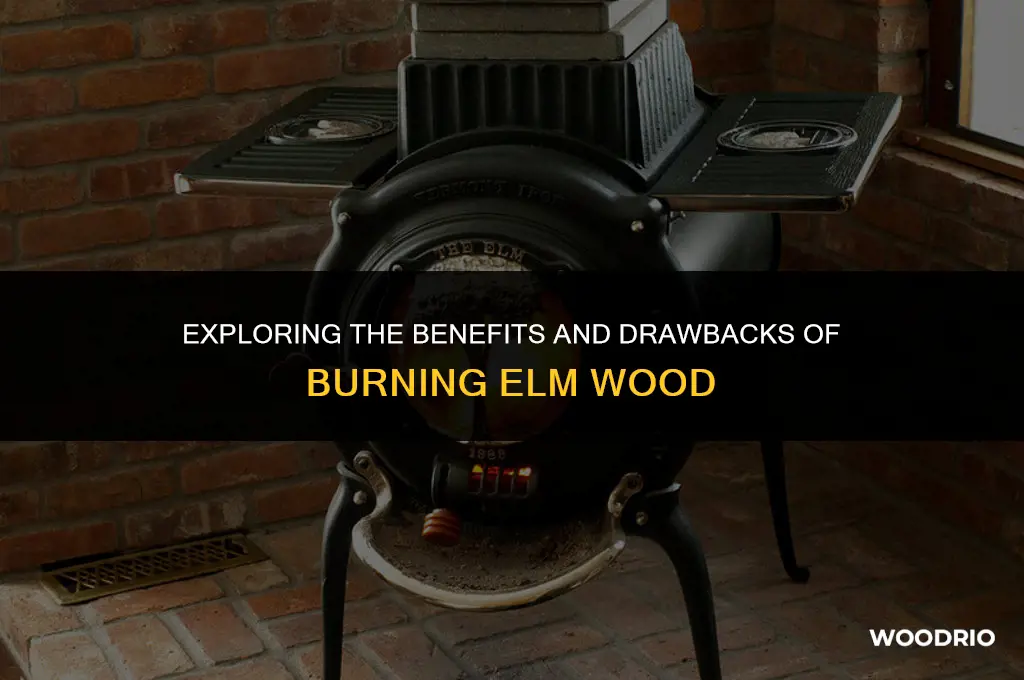 is elm wood good to burn