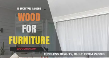 Exploring Eucalyptus: A Sustainable Choice for Furniture Making?