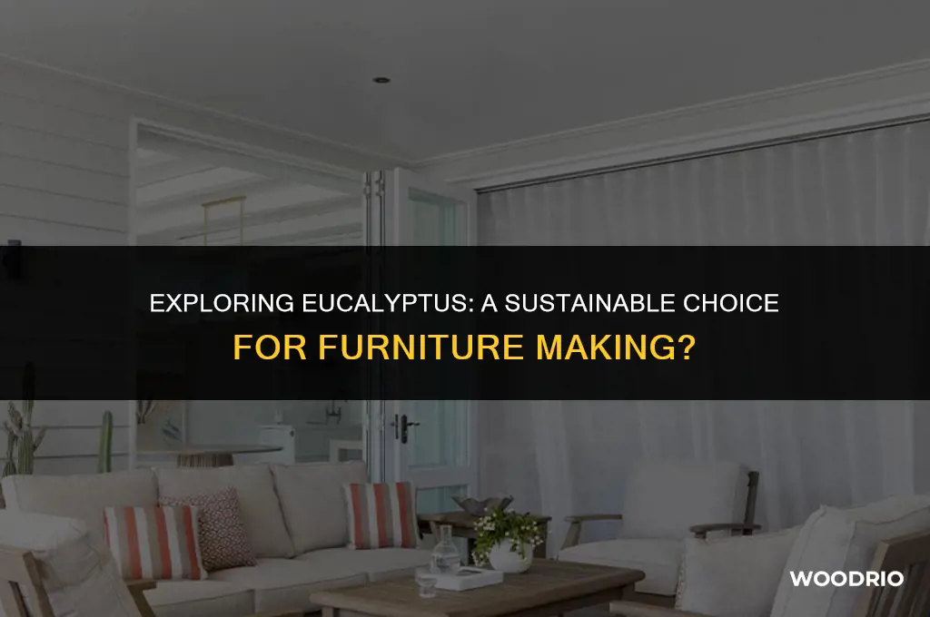 is eucalyptus a good wood for furniture