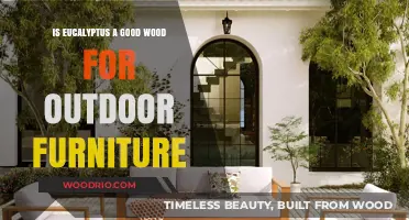 Durable and Stylish: Eucalyptus Wood for Outdoor Furniture
