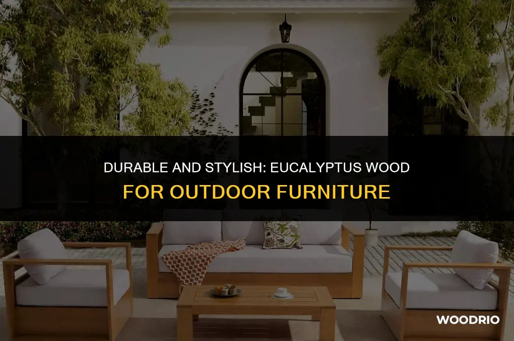 is eucalyptus a good wood for outdoor furniture