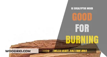 The Ideal Burn: Exploring the Benefits of Eucalyptus Wood