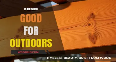 Durability Unveiled: Is Fir Wood a Suitable Choice for Outdoor Projects?