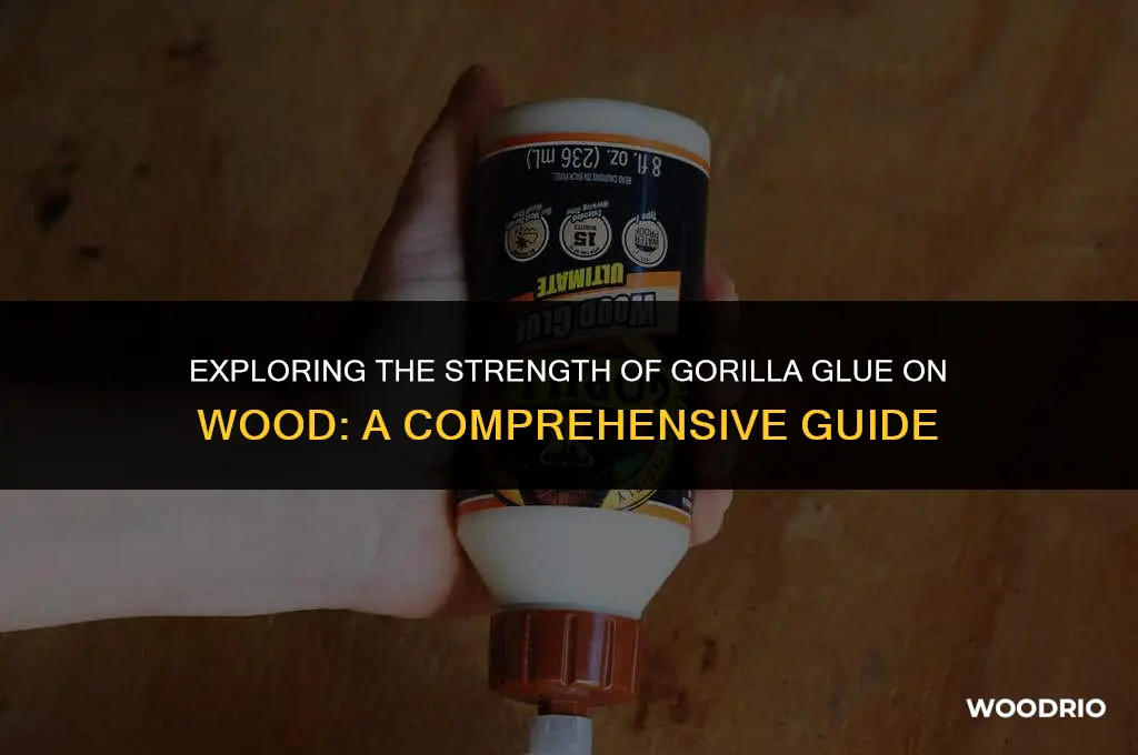 is gorilla glue good for wood