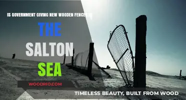 Revitalizing Boundaries: New Wooden Fences for the Salton Sea?