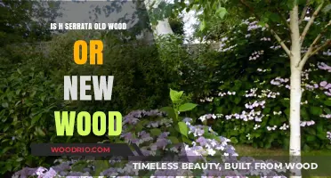H. Serrata: Understanding Old Wood vs. New Wood Characteristics