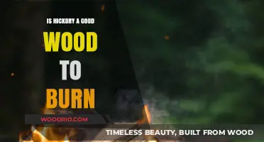 Exploring Hickory: A Comprehensive Guide to Its Burning Qualities