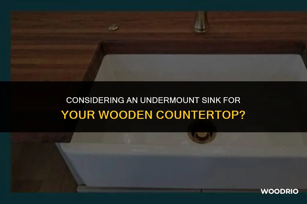 is it best to install a undermount sink on wood