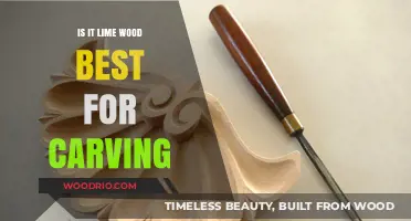 Exploring the Art of Carving: Is Lime Wood Your Best Choice?