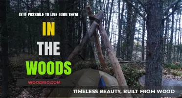 Surviving the Wild: Can You Live Long-Term in the Woods?