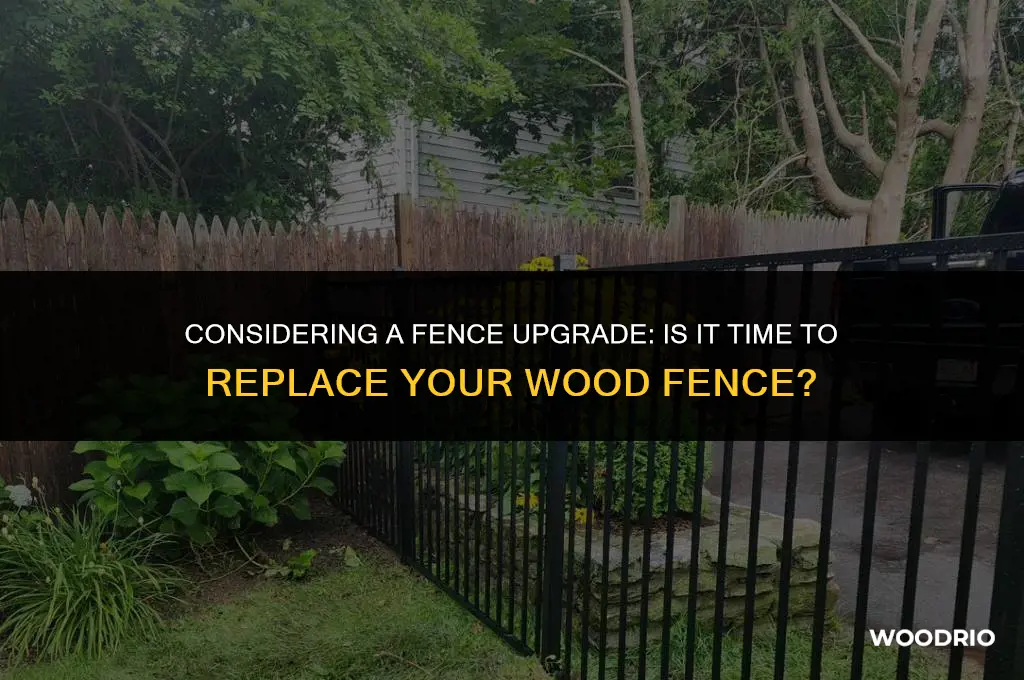is it time to replace wood fence