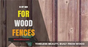 The Impact of Ivy on Wood Fences: A Comprehensive Guide