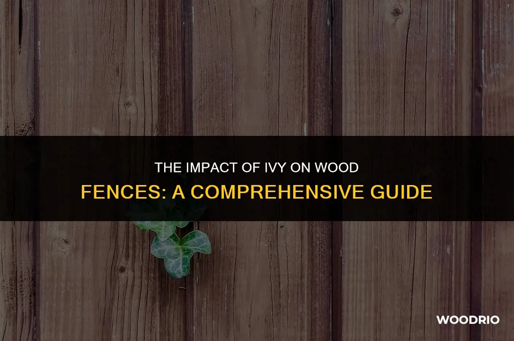 is ivy bad for wood fences