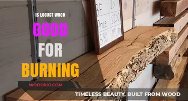 Exploring Locust Wood: A Sustainable Choice for Your Fireplace?