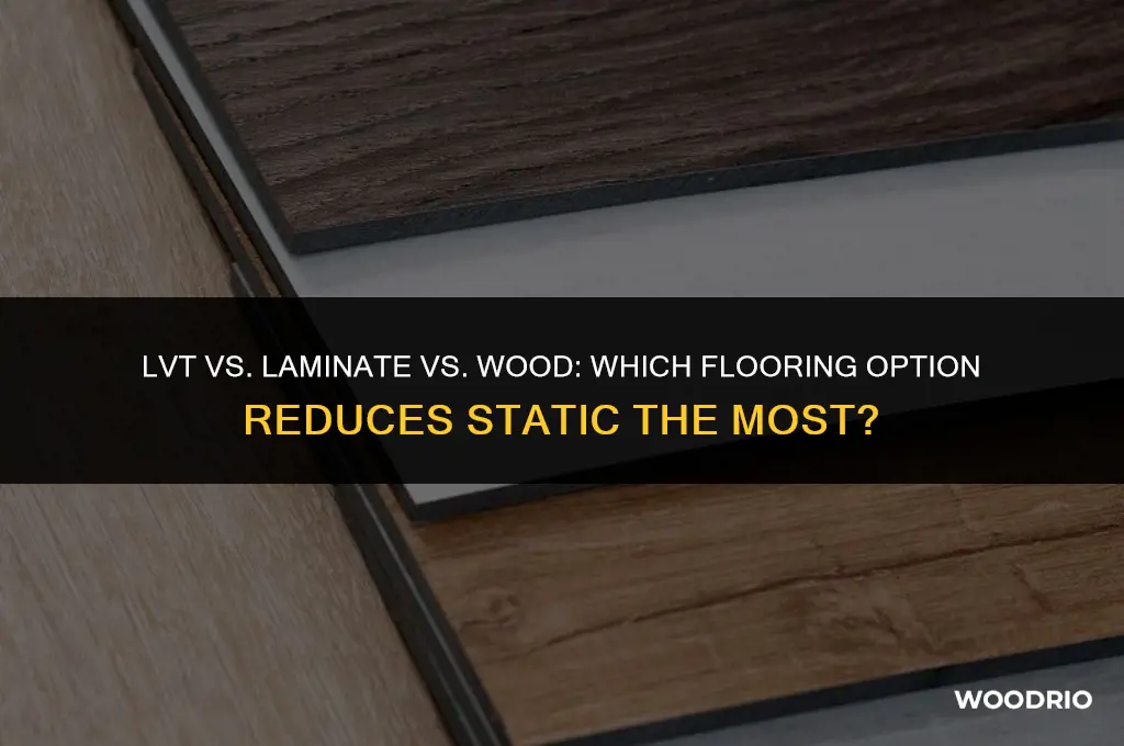 is lvt or laminate or wood best for less static