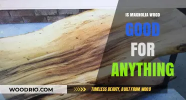 Exploring the Uses and Benefits of Magnolia Wood: A Comprehensive Guide