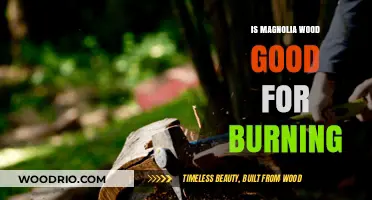 Exploring the Qualities of Magnolia Wood as a Firewood Choice