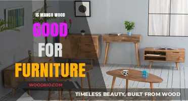 Exploring the Durability and Beauty of Mango Wood Furniture