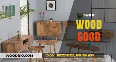 Exploring the Durability and Beauty of Mango Wood: A Comprehensive Guide