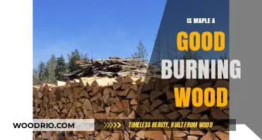 Exploring Maple's Potential as a Quality Firewood Choice