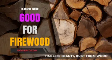 The Ideal Firewood Choice: Exploring Maple Wood's Burning Potential