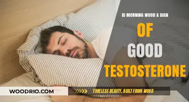 Exploring Morning Wood: What Does It Indicate About Testosterone Levels?