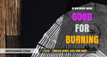 Exploring the Qualities of Mulberry Wood as a Burning Material