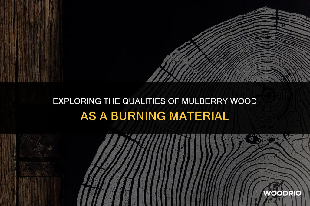 is mulberry wood good for burning