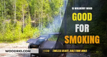 Exploring the Flavor: Is Mulberry Wood Good for Smoking?