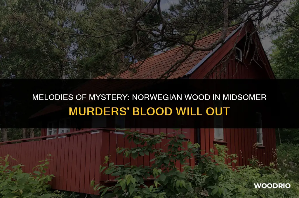 is norwegian wood played in midsomer murders blood will out