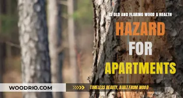 Old, Flaking Wood in Apartments: Uncovering Potential Health Risks