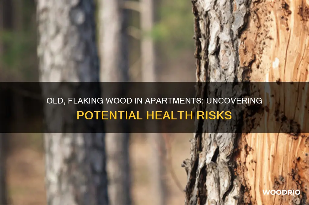 is old and flaking wood a health hazard for apartments