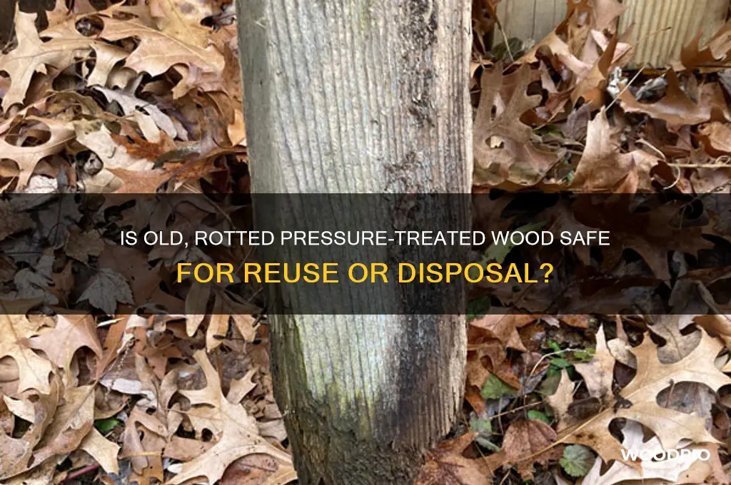 is old and rotted pressure treated wood safe