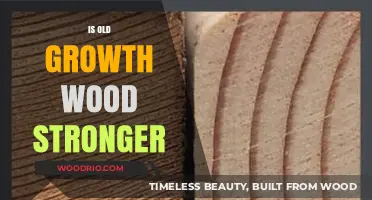 Is Old Growth Wood Stronger? Uncovering the Truth Behind Ancient Timber