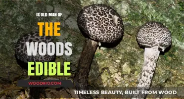 Is Old Man of the Woods Edible? A Forager's Guide