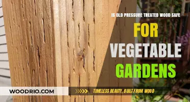 Is Old Pressure Treated Wood Safe for Vegetable Gardens?